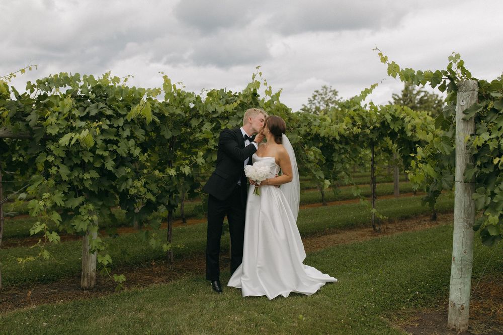 Elegant wedding photos taken in a vineyard with rows of grapevines in the background.