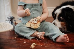 Messy, sweet, and full of joy—cake smash photography that captures real moments with little ones and their furry friends.