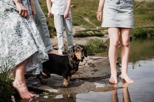 Lifestyle family photo with a dachshund by the water—capturing authentic moments, connection, and love for pets in nature.