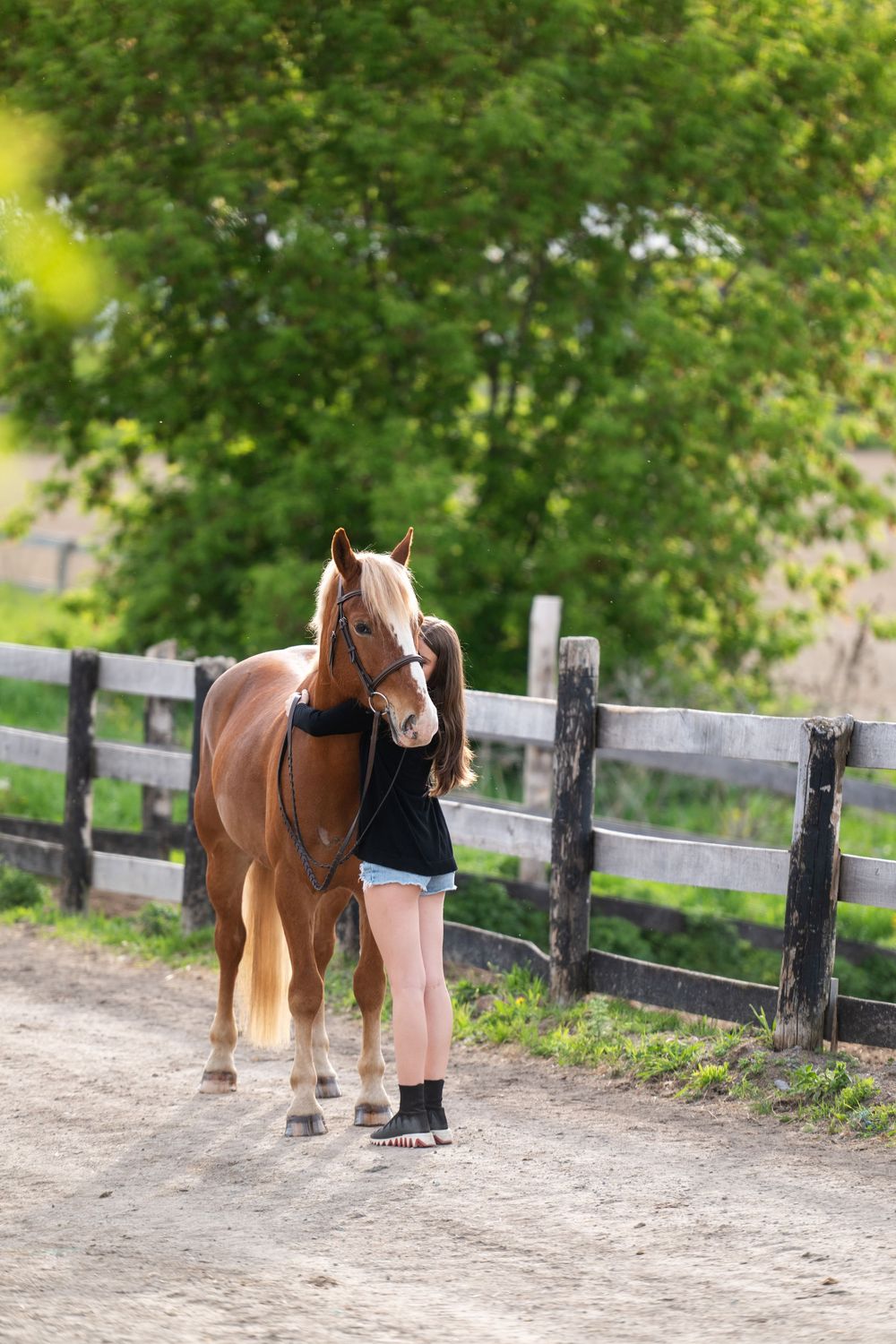 A person pets and interacts with a gentle brown pony on a dirt path along a wooden fence with green trees in background.