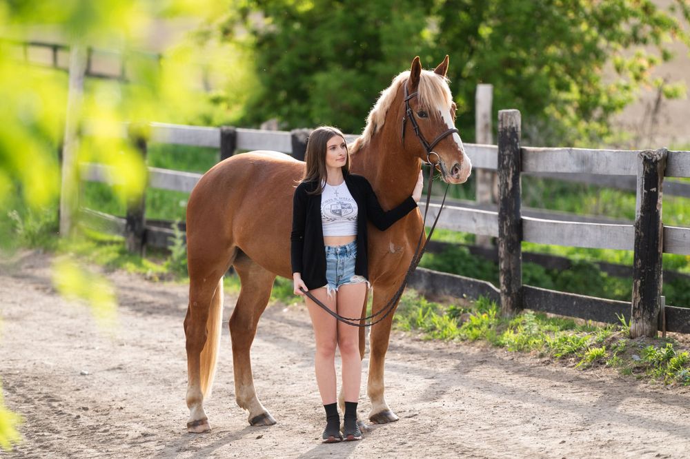 A chestnut colored horse performs stretching exercises with a handler on a sunny day outdoors.