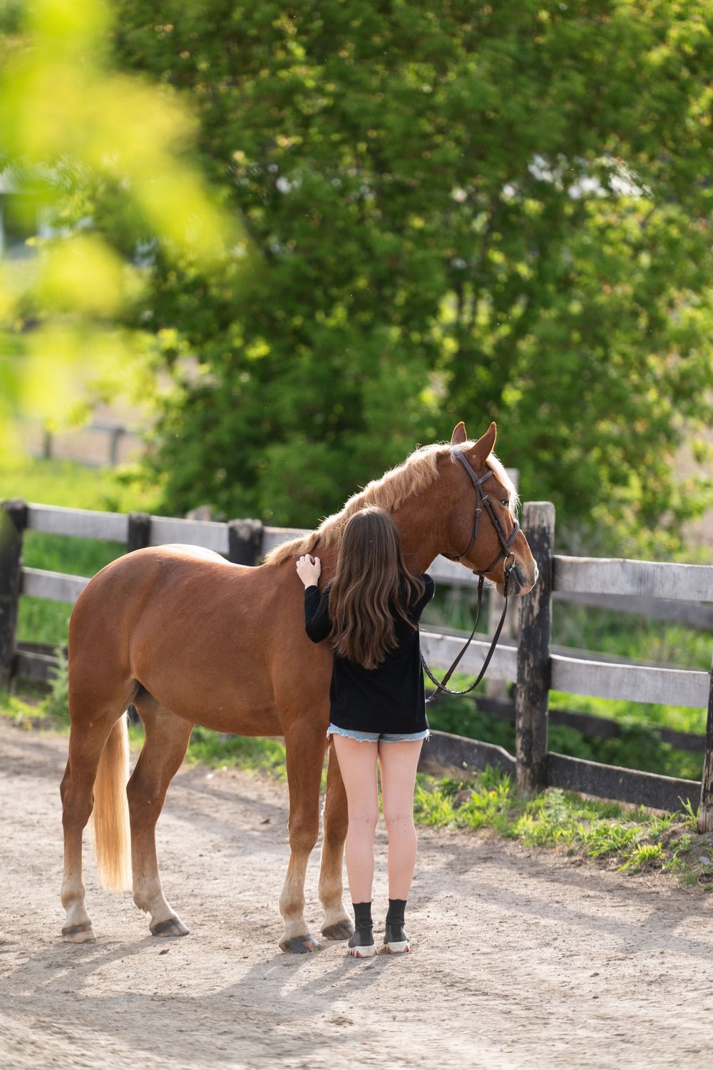 A chestnut horse stands next to someone on a dirt path near wooden fencing surrounded by green foliage.