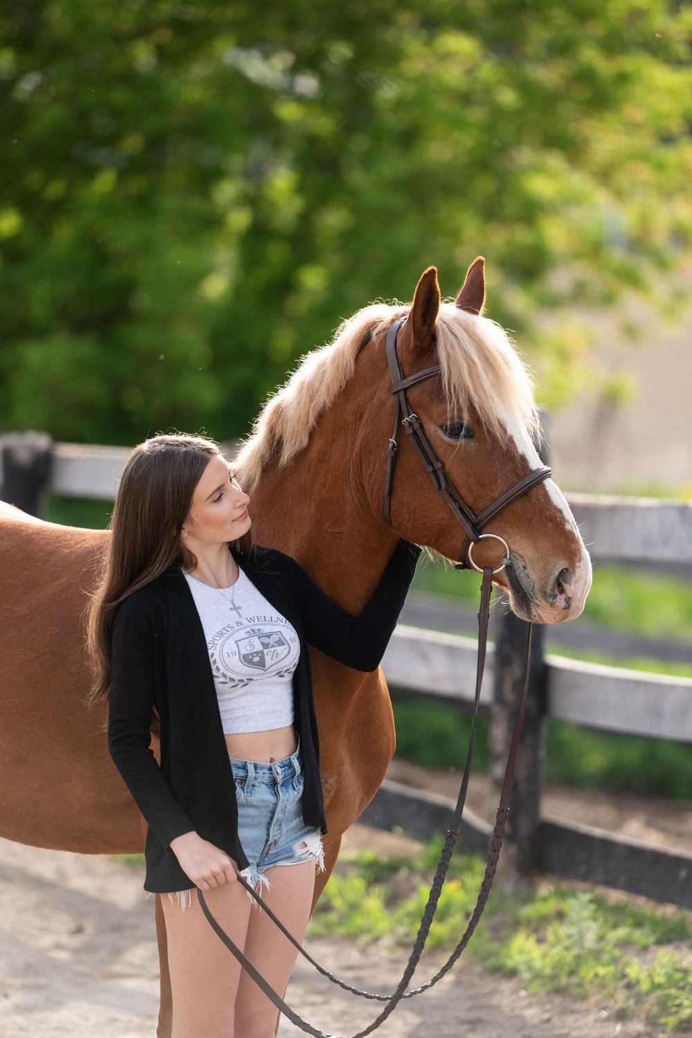 A beautiful brown horse and someone in casual attire share tender moments at a sunlit stable setting.