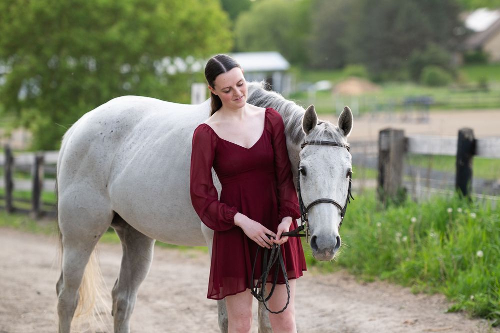 A gray horse and its companion share a tender bonding moment in an outdoor pasture setting.
