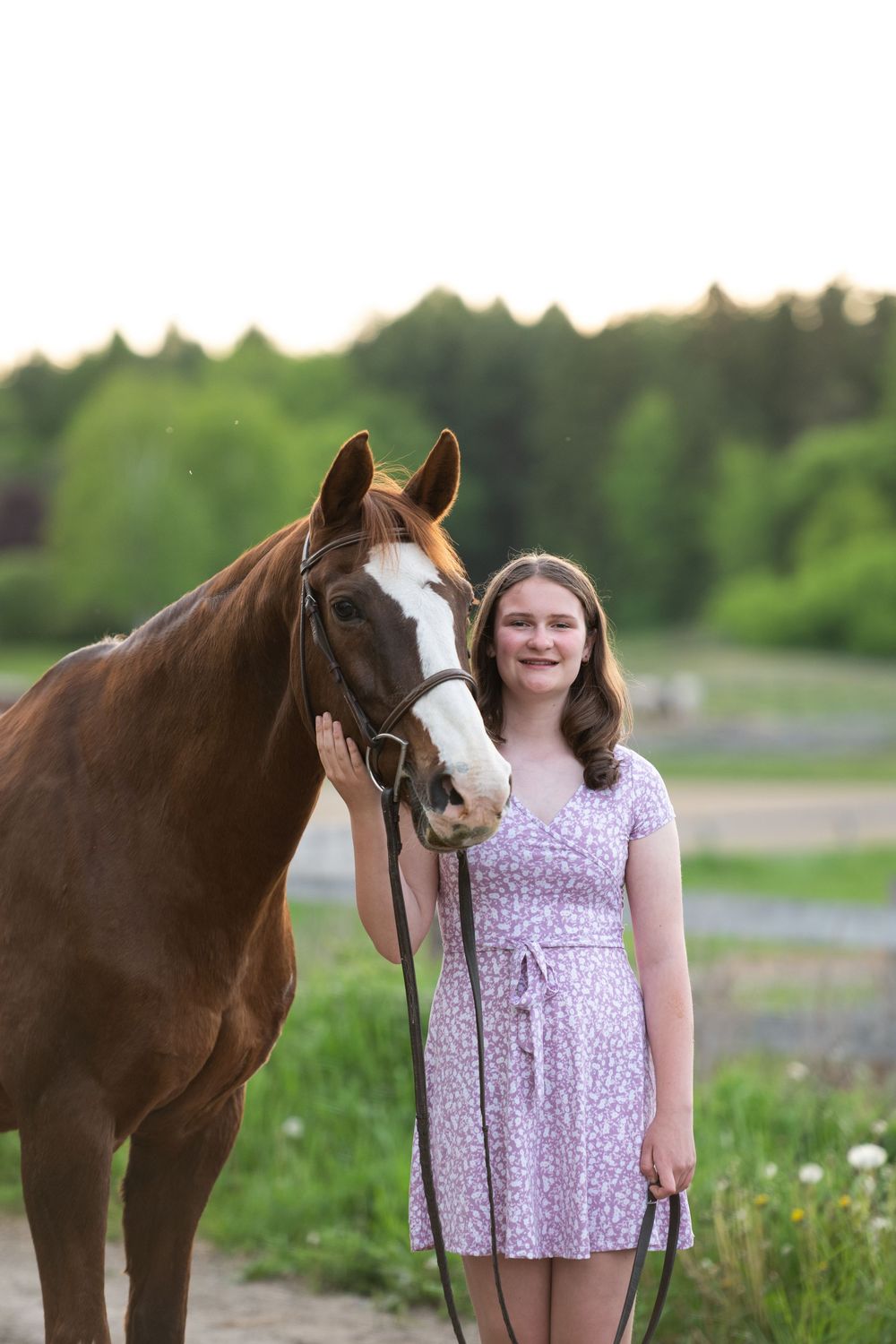 A brown horse with a white blaze stands in a grassy field during golden hour as someone holds its lead rope.