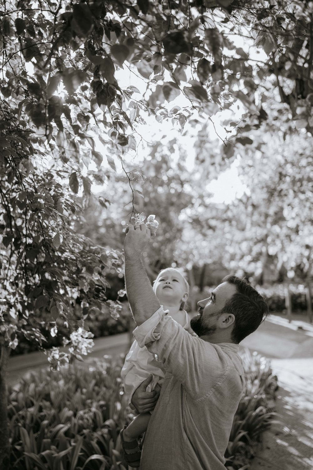 Black and white series showing playful moments under flowering trees.