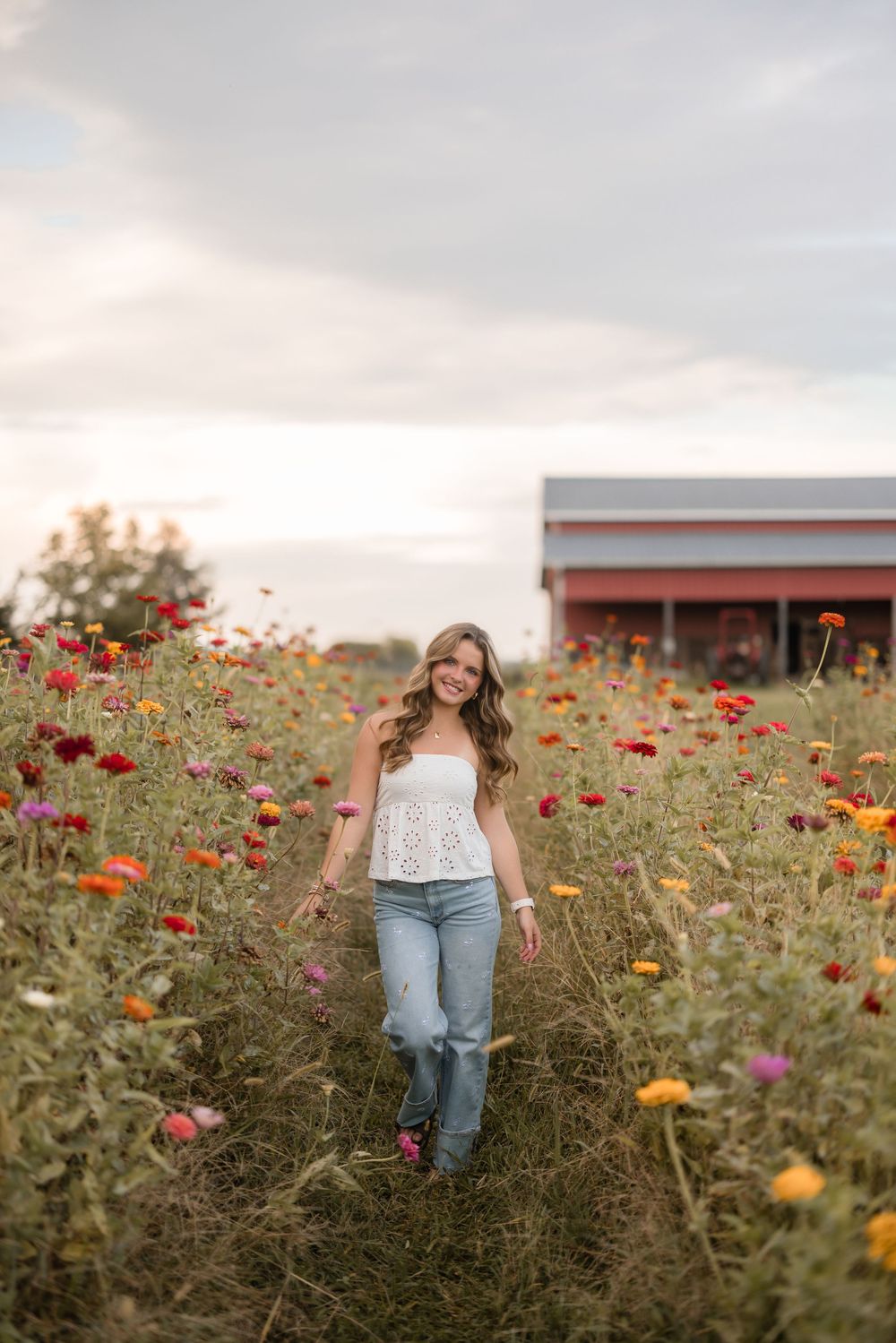 A wildflower field blooms with vibrant red and orange poppies against a rustic barn backdrop at sunset.