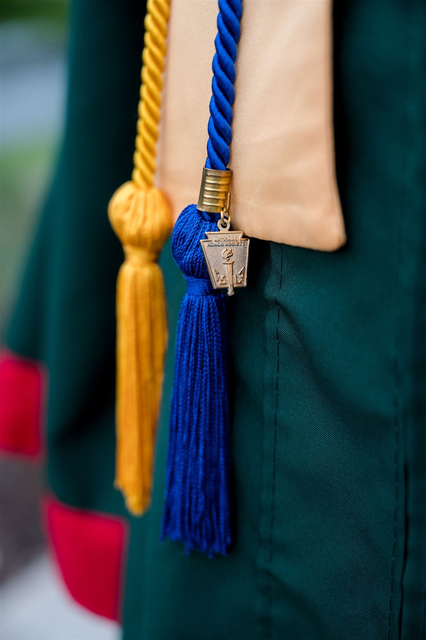 Graduation honor cords in royal blue and gold with decorative tassels hanging against a dark green background.