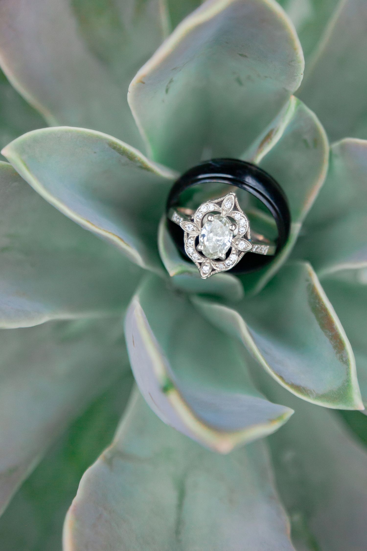 Zenography Photography: Wedding photographer in Potchefstroom & Gauteng. Timeless, classic, from details to grand moments.
