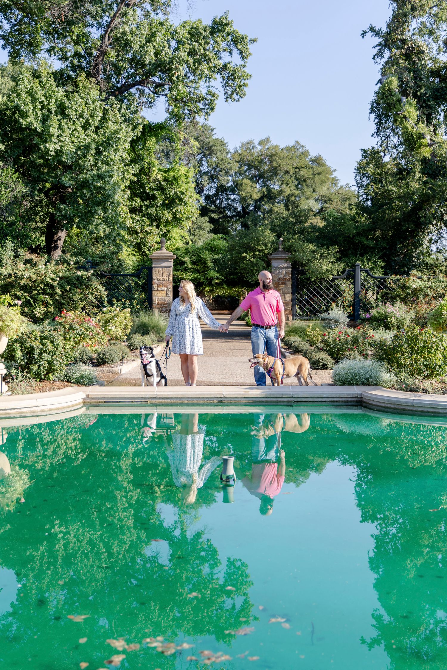 Central texas wedding Photographer capturing surprise proposal at the Fort Worth Botanical Gardens