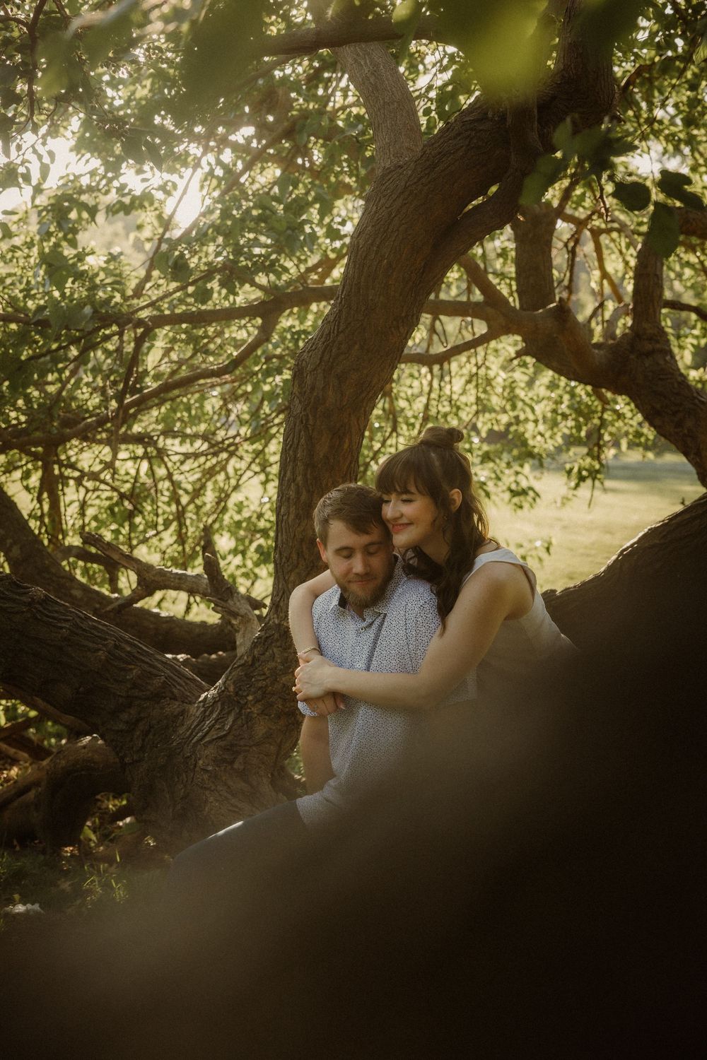 Romantic couple embraces in soft golden sunlight under a large tree branch creating a dreamy atmosphere at Loose Park in Brookside Kansas.
