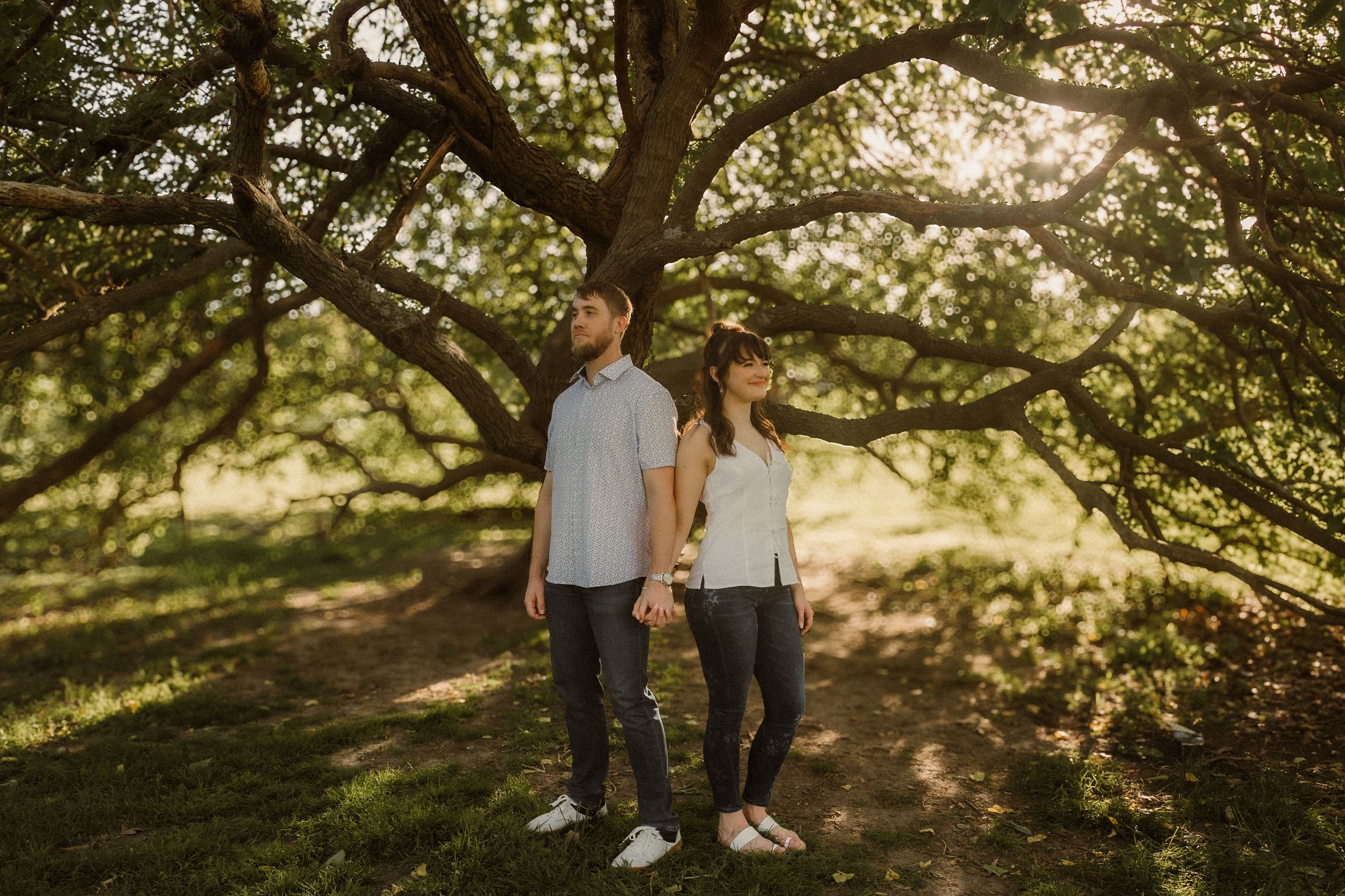 A couple stands together beneath a sprawling tree branch during golden hour in a peaceful outdoor setting. KC wedding photography and video.