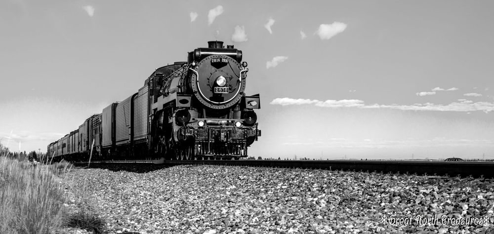 Steam train engine 2816