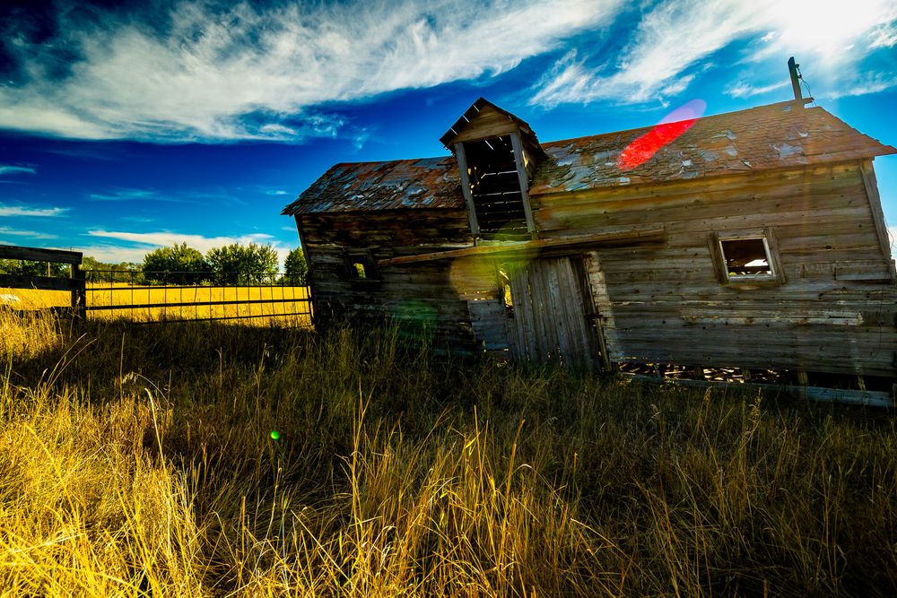 Abandoned barn near Provost, Ab