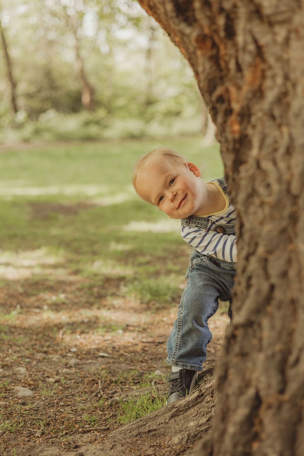 boy in dungarees plays hide and seek behind a tree