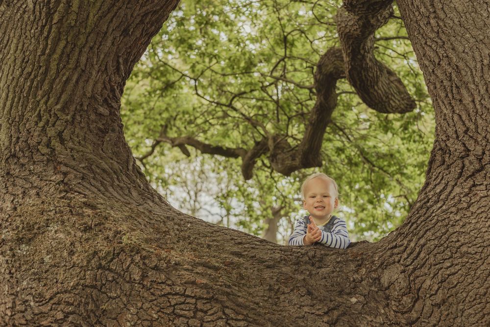 toddler playing hide and seek in the trees