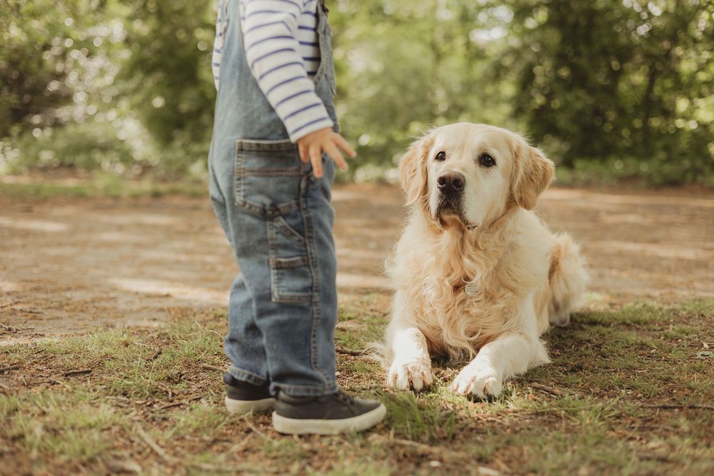 dog and boy