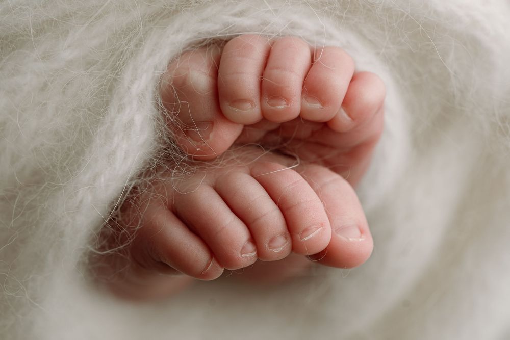 Close-up of tiny newborn baby fingers and toes wrapped in soft white fluffy blanket.