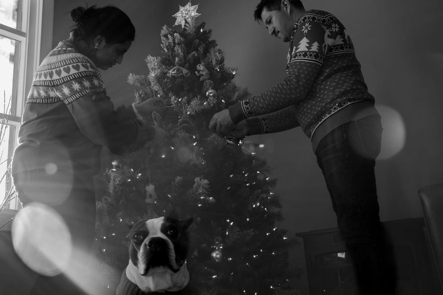 Indoor Christmas family photography at home capturing holiday tree decorating, cozy lifestyle moments, and joyful moments with pet dog