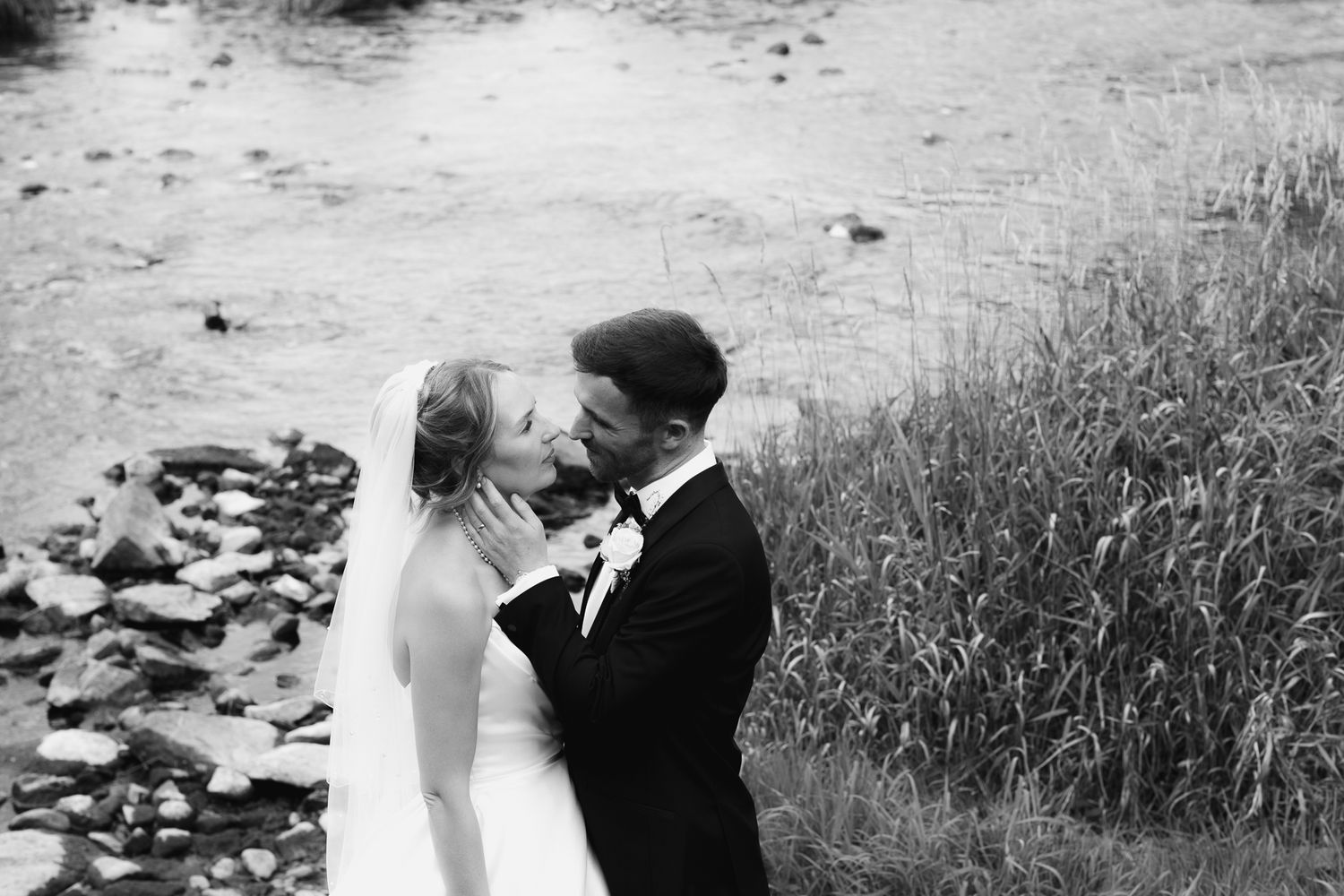 A black and white wedding photo collage showing intimate moments by a lake with rocks and tall grasses.