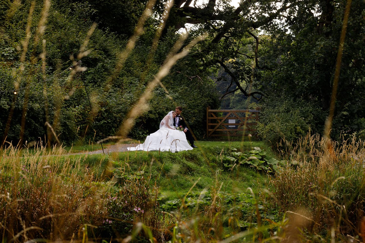 A bride in a white wedding dress stands gracefully among tall golden grasses in a natural outdoor setting.