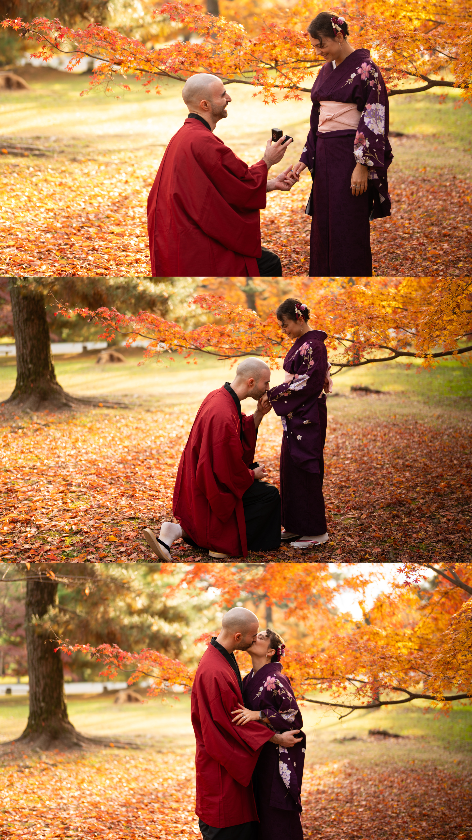 Triptych of a marriage proposal in traditional kimono attire surrounded by golden autumn foliage.