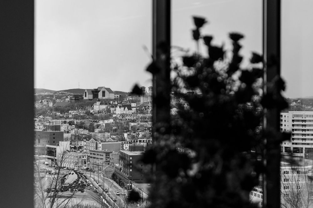 Silhouetted tree branches frame a black and white cityscape view of buildings and rooftops in an urban setting.