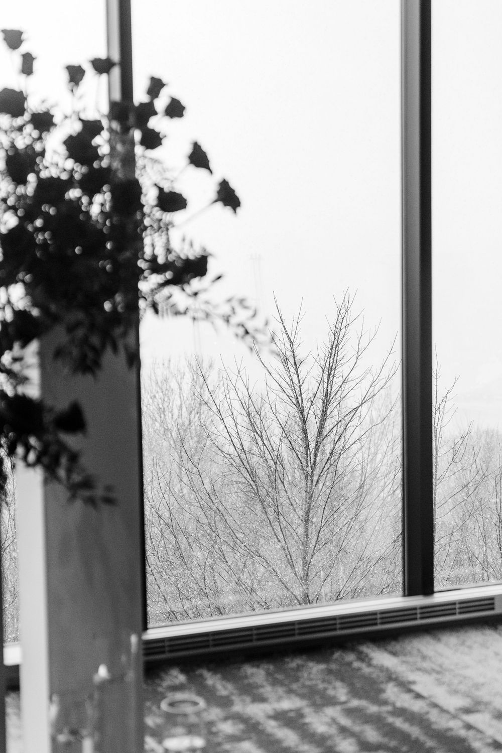 Black and white view through modern window frames showing bare winter trees and cloudy sky in the distance.