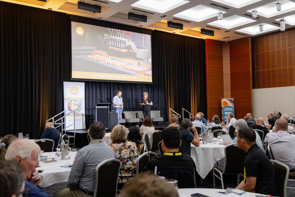 Fremantle Conference Photographer capturing attendees at a business conference