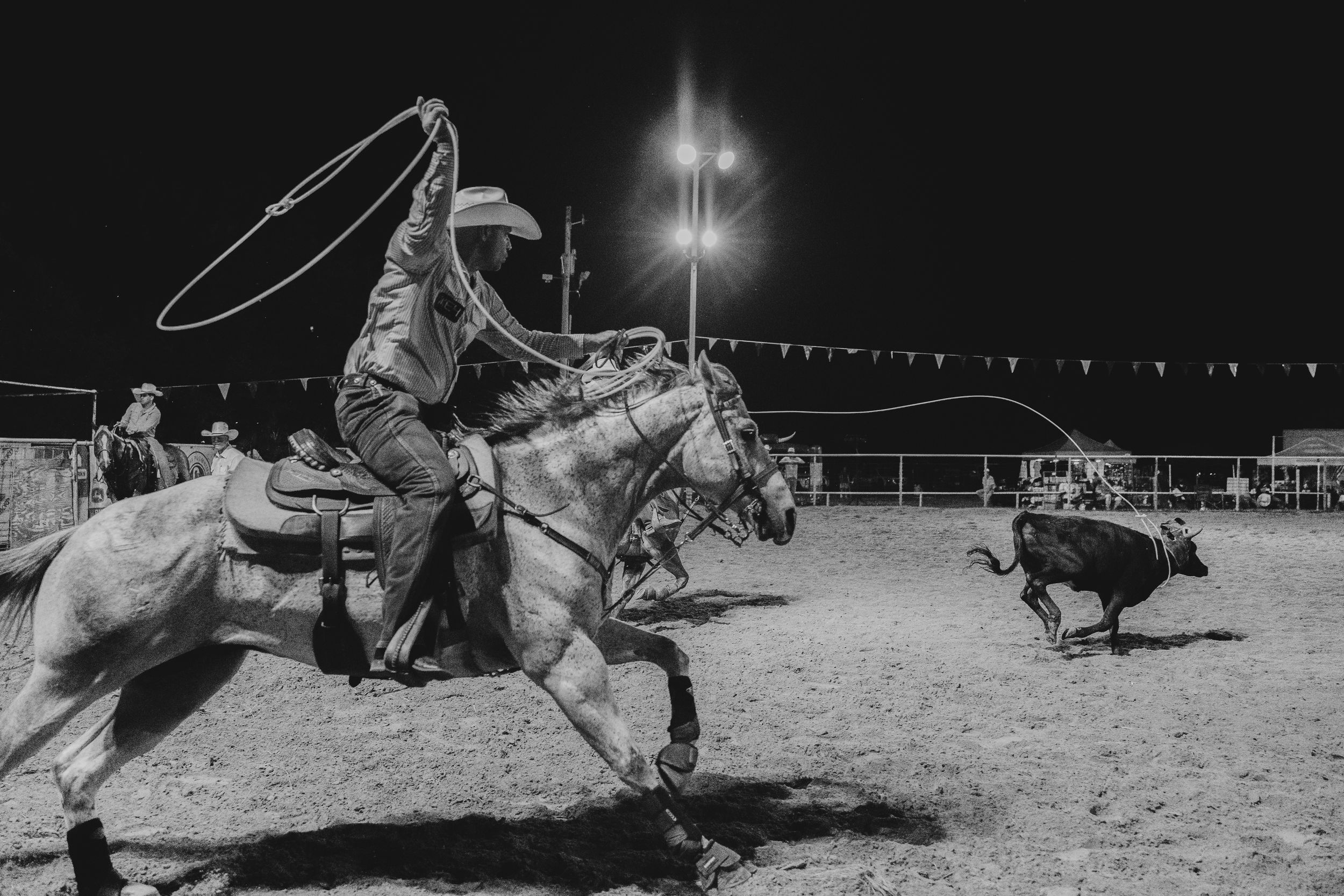 Multiple dramatic rodeo scenes showing riders competing in bull riding and steer wrestling events at a nighttime arena.