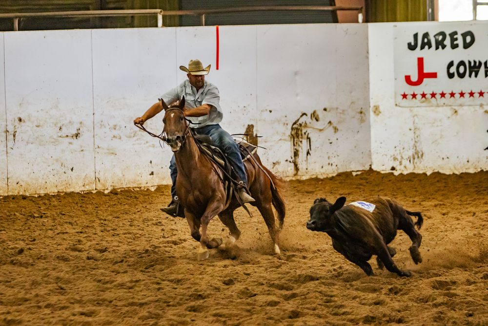 A cowboy on horseback competes in a rodeo calf roping event inside a dusty indoor arena.