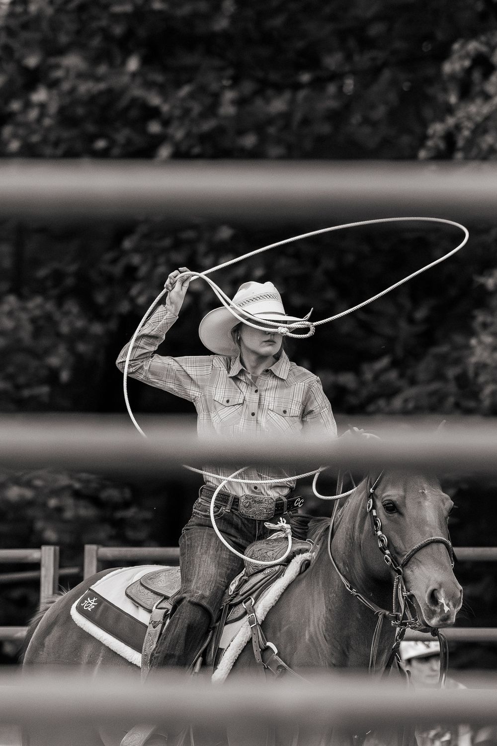 Breakaway Roping