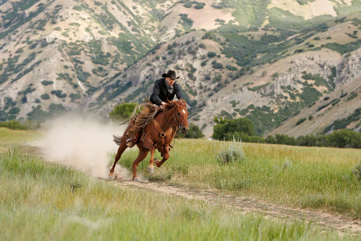 A cowboy galloping his chestnut horse down a beaten path in the mountains