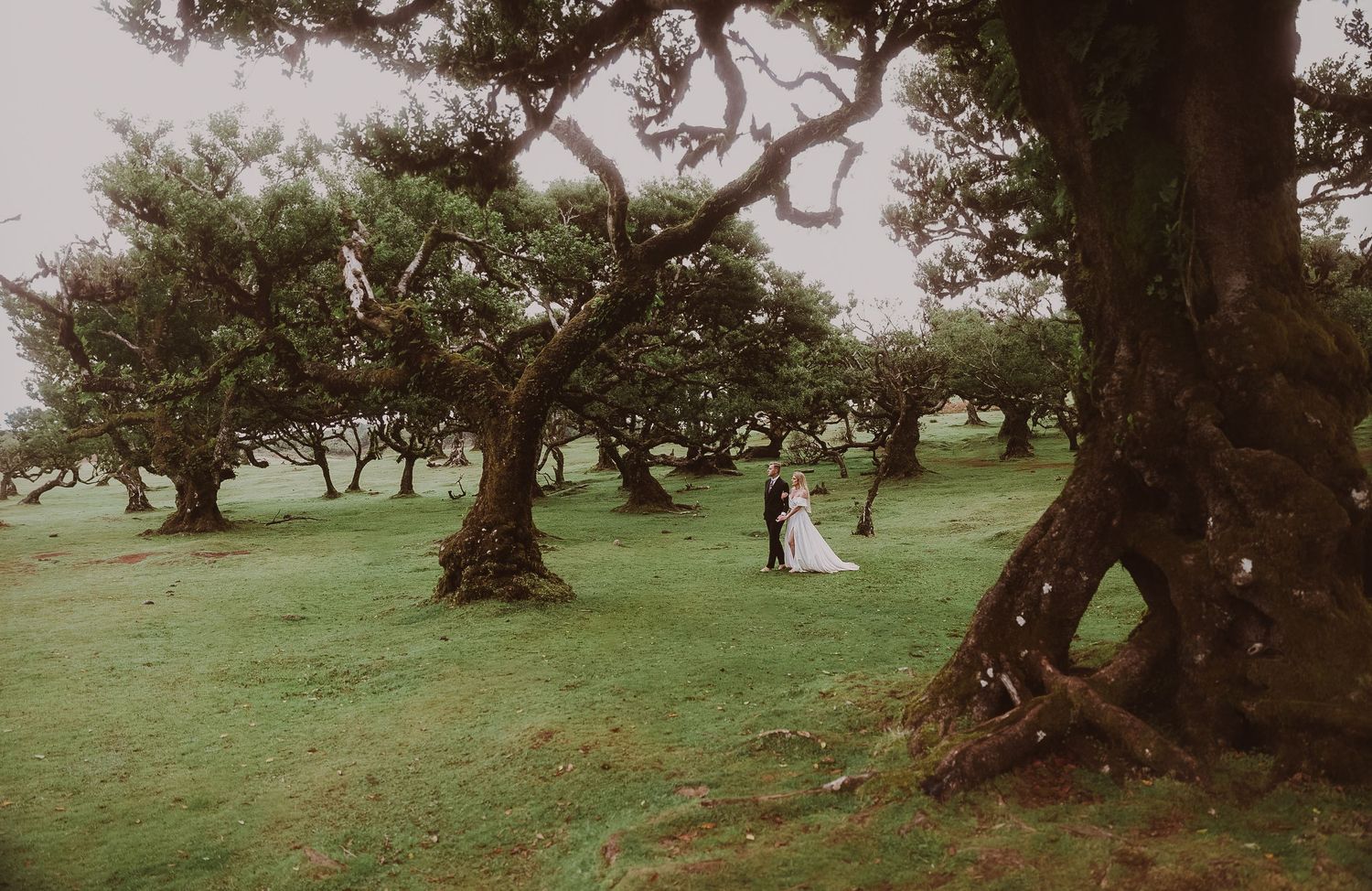 Destination photoshoot in Fanal Forest, Madeira – raw and timeless scenery