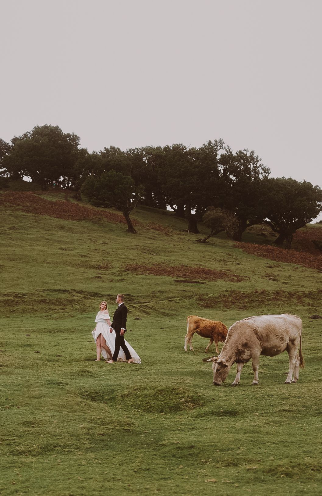 Cinematic photo session in Fanal Forest, with mist and dramatic landscapes