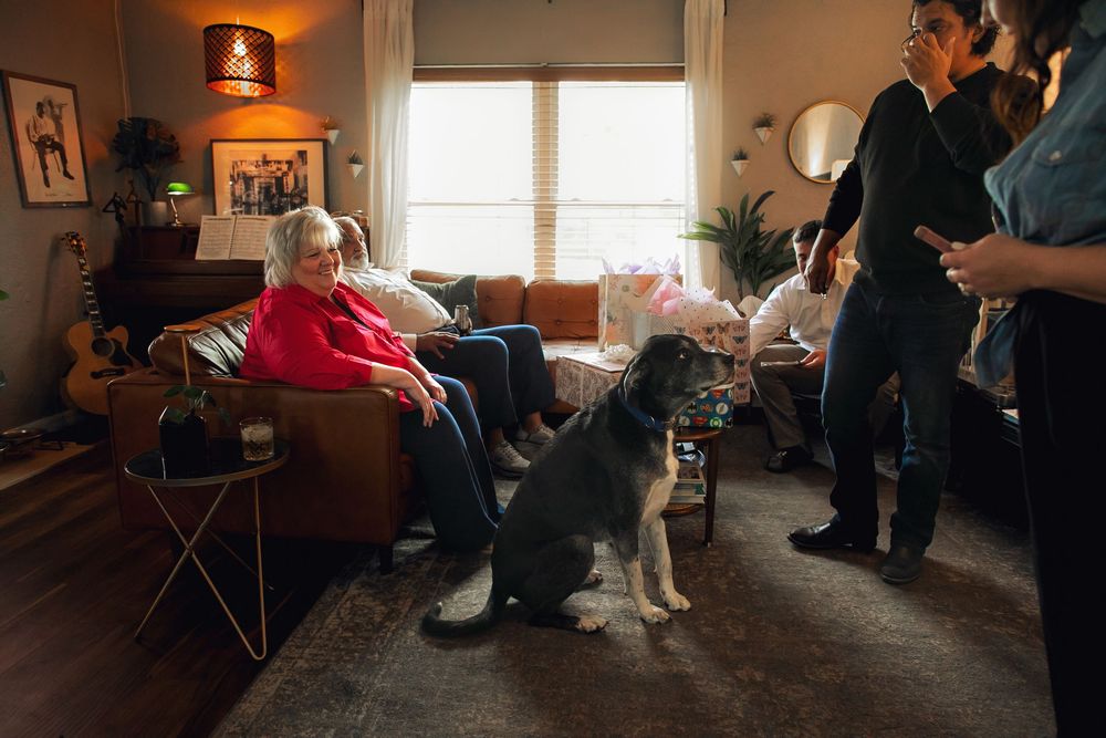 A cozy living room scene with people gathered together and a Border Collie sitting attentively in the warm lighting.