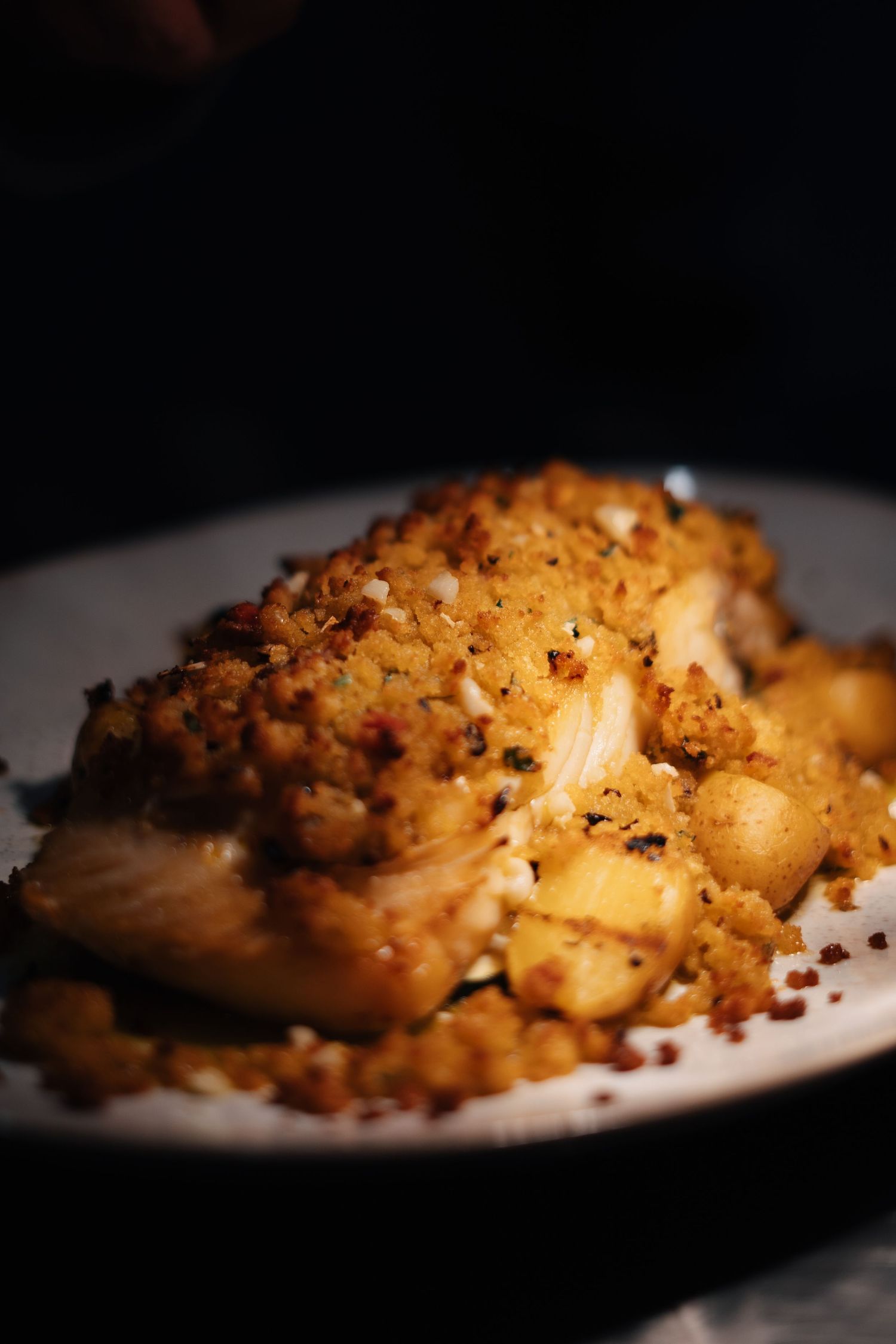 Golden crusted mac and cheese with crispy breadcrumb topping on a white plate.