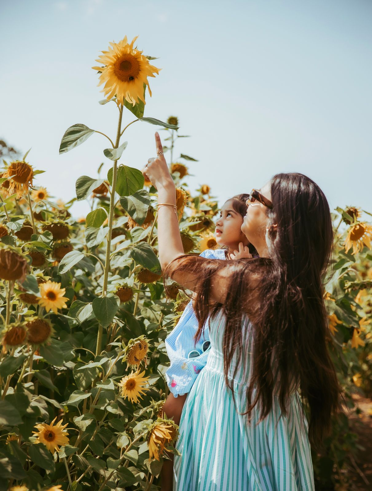 Two people in blue dresses reach up to touch tall sunflowers in a sunny field during golden hour. During a sunflower photoshoot in London