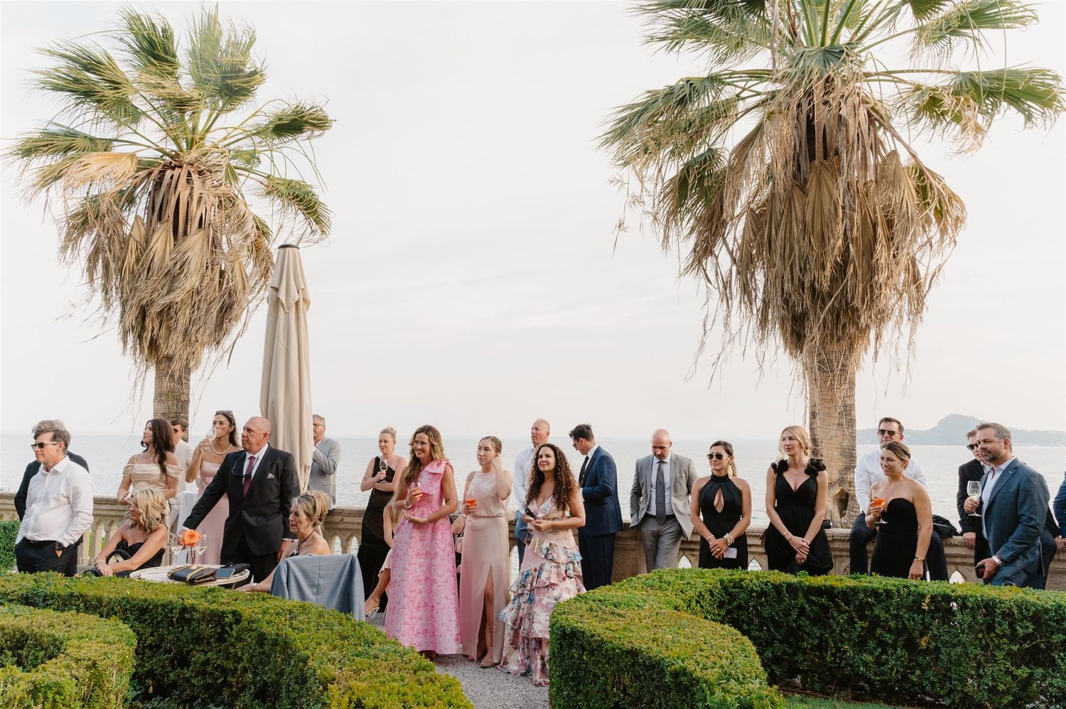 Wedding guests lined up along a palm tree-lined path for an outdoor celebration.