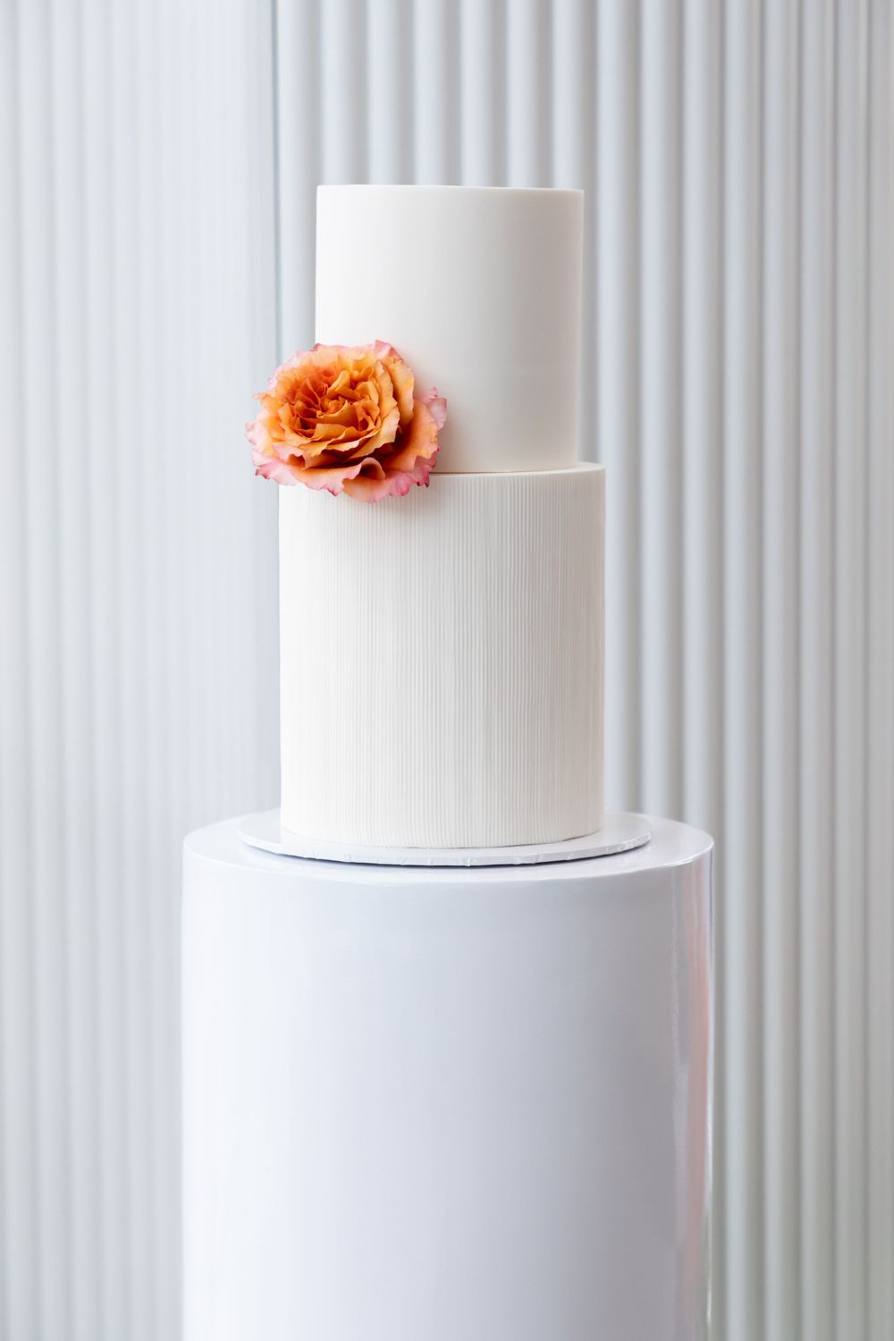 Engagement photography, engagement cake, guests engagement food and soon to be bride and groom