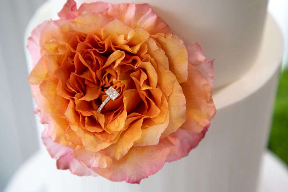 Engagement photography, engagement cake, guests engagement food and soon to be bride and groom