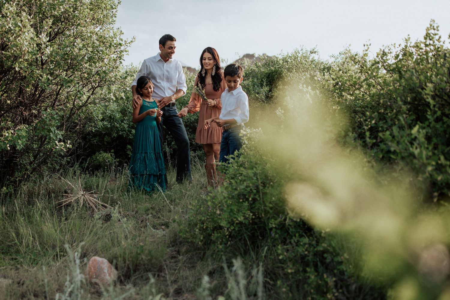 A group stands together on a grassy hillside at golden hour surrounded by lush greenery and soft light.