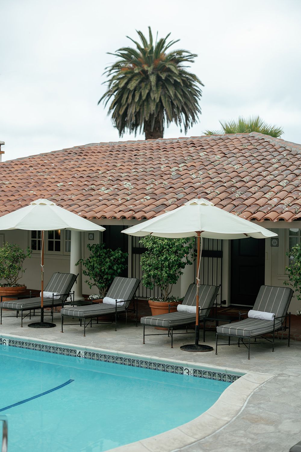 Resort swimming pool area with white umbrellas and lounge chairs surrounded by palm trees.