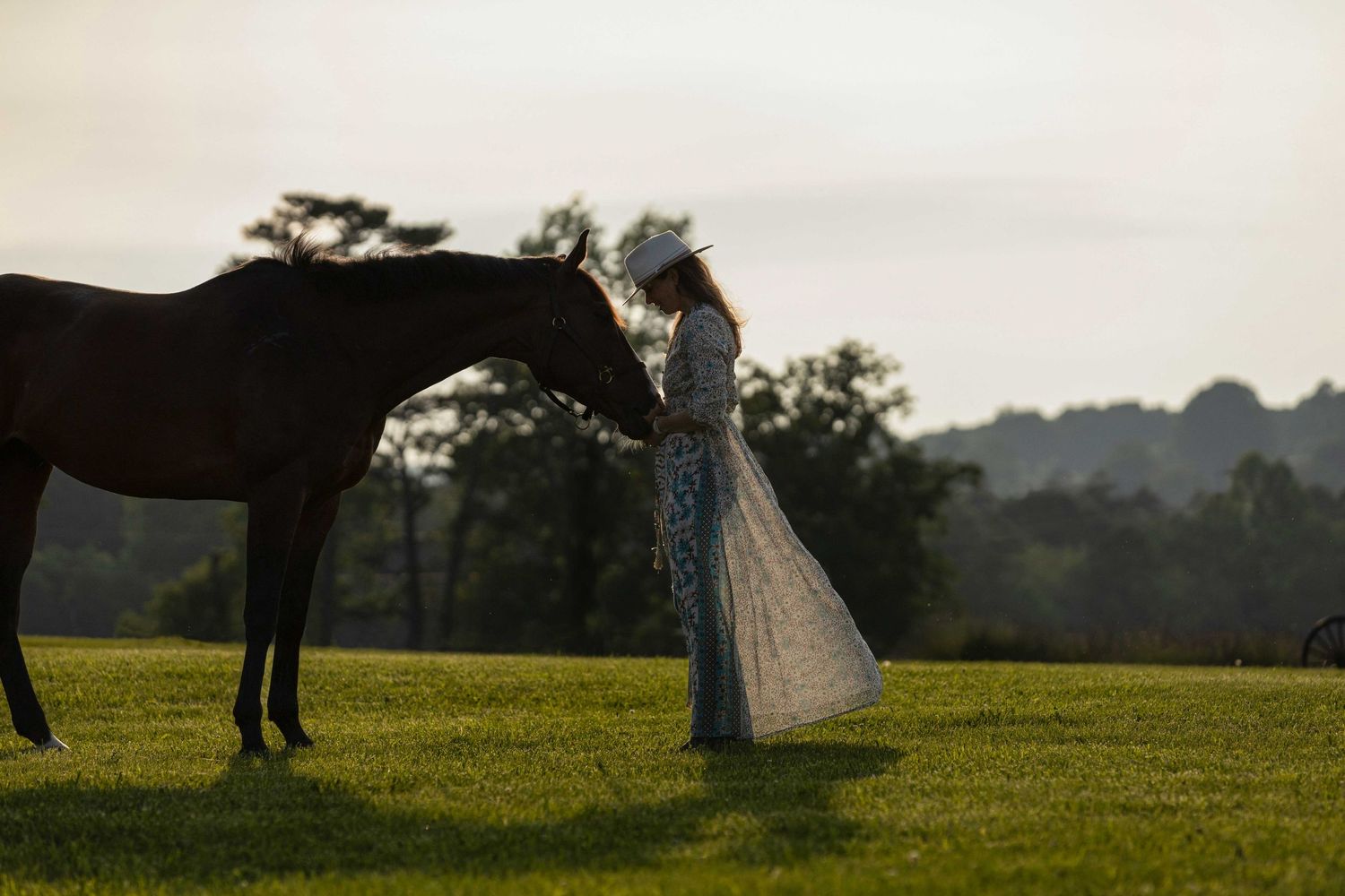 Horse Photographer Chattanooga