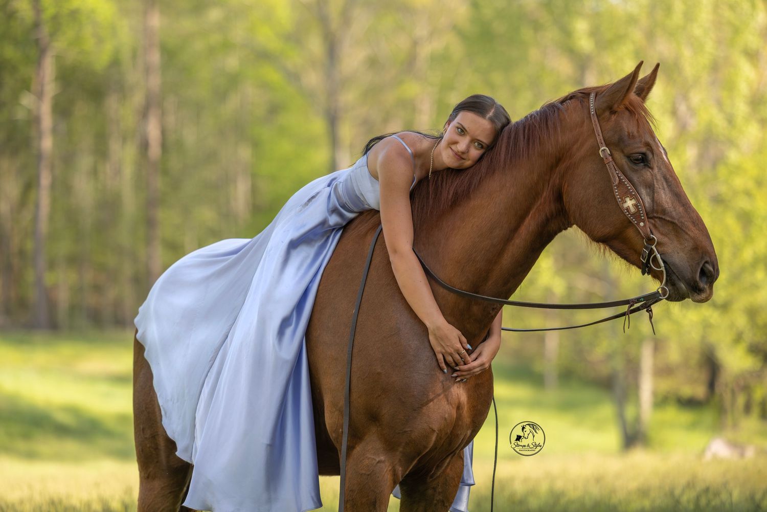 Horse Photographer Chattanooga