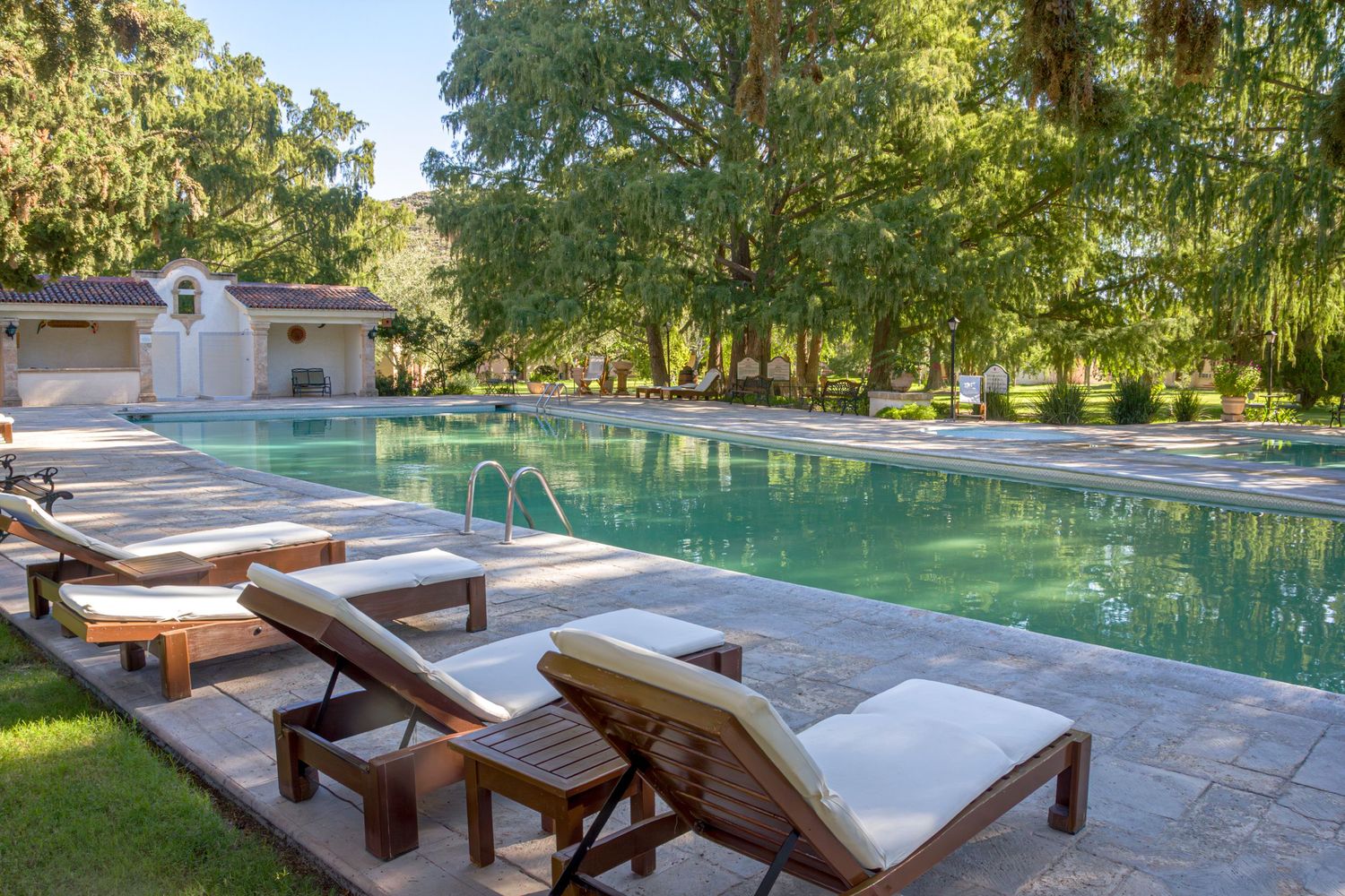 Luxurious poolside lounge chairs surrounded by lush greenery in upscale resort setting. Rincon del Montero.