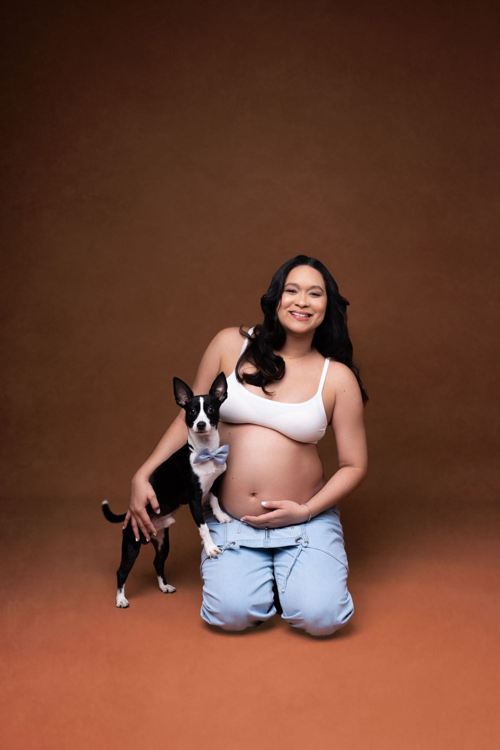 Maternity portrait with small black and white dog against warm brown background.
