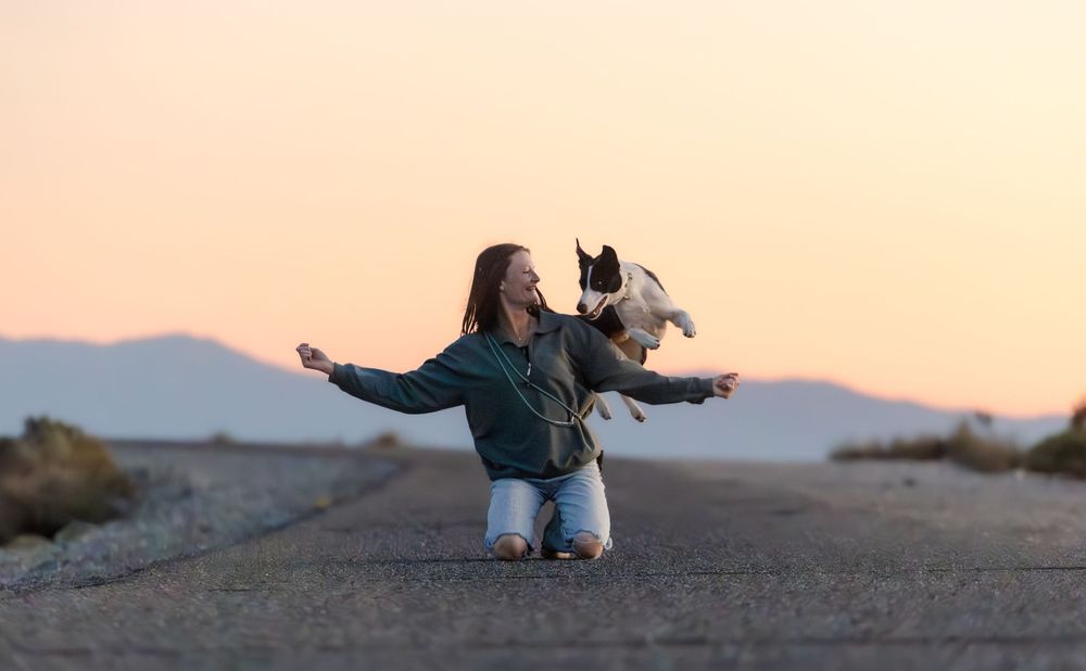 Woman kneeling on road at sunset with arms outstretched as a small dog leaps joyfully toward her.