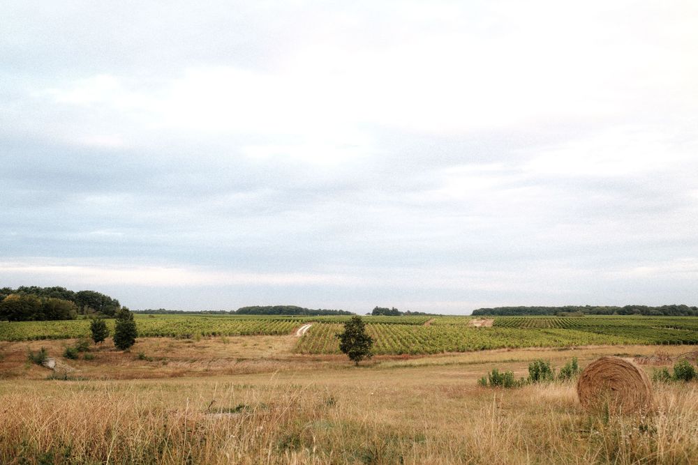 Rolling countryside landscape with hay bales and agricultural fields stretching to the horizon.