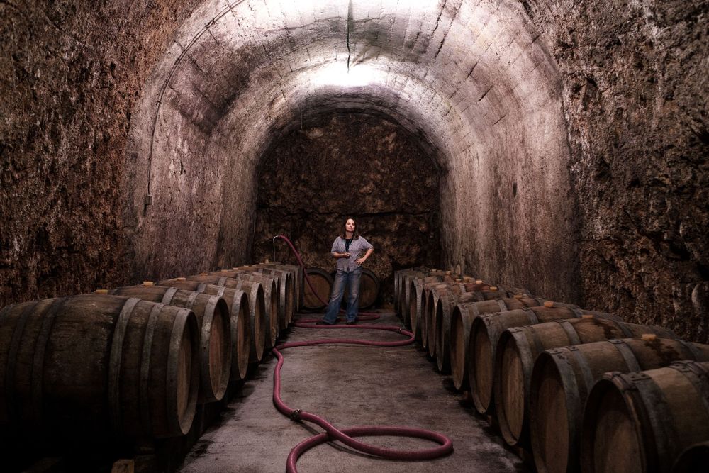 Historic wine cellar tunnel with wooden barrels lining both sides of the curved stone walls.